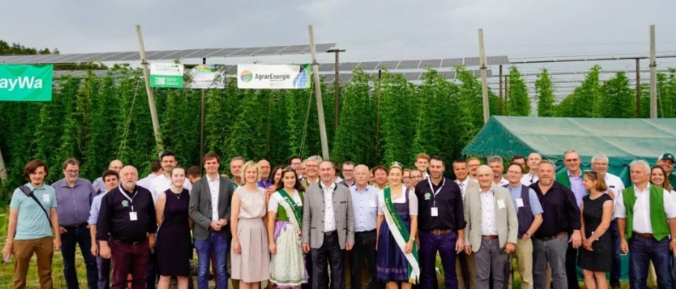 Landwirtschaftliche Photovoltaik wird in Deutschland für Bierblumen genutzt